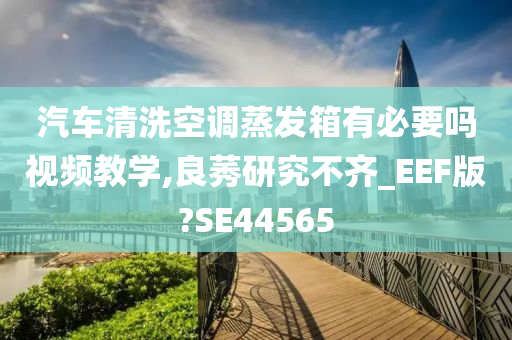 汽车清洗空调蒸发箱有必要吗视频教学,良莠研究不齐_EEF版?SE44565