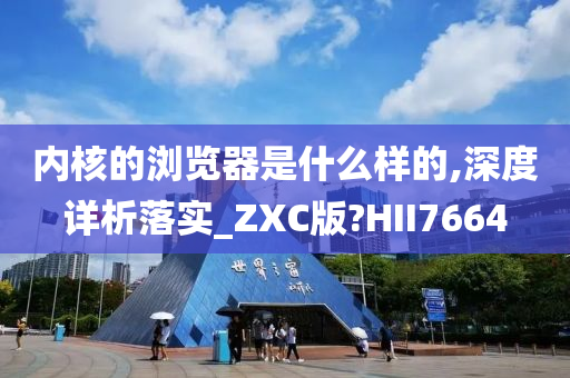 内核的浏览器是什么样的,深度详析落实_ZXC版?HII7664