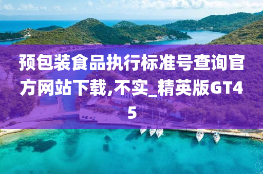 预包装食品执行标准号查询官方网站下载,不实_精英版GT45