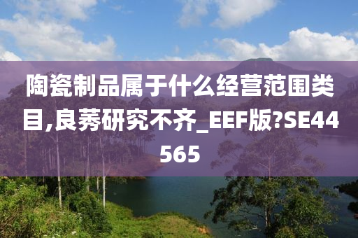 陶瓷制品属于什么经营范围类目,良莠研究不齐_EEF版?SE44565