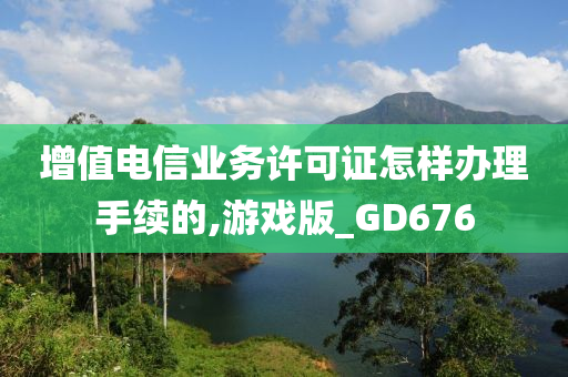 增值电信业务许可证怎样办理手续的,游戏版_GD676