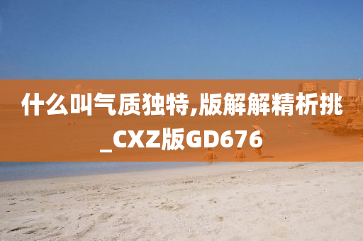 什么叫气质独特,版解解精析挑_CXZ版GD676