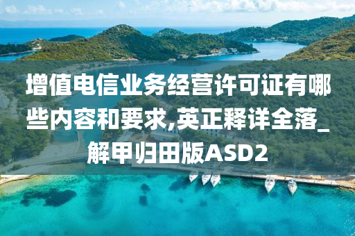 增值电信业务经营许可证有哪些内容和要求,英正释详全落_解甲归田版ASD2