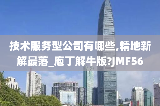 技术服务型公司有哪些,精地新解最落_庖丁解牛版?JMF56