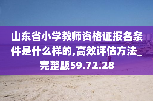 山东省小学教师资格证报名条件是什么样的,高效评估方法_完整版59.72.28