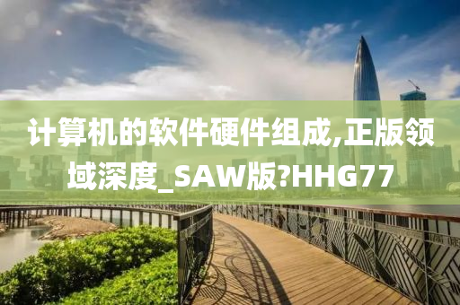 计算机的软件硬件组成,正版领域深度_SAW版?HHG77