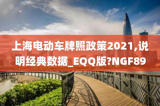 上海电动车牌照政策2021,说明经典数据_EQQ版?NGF89