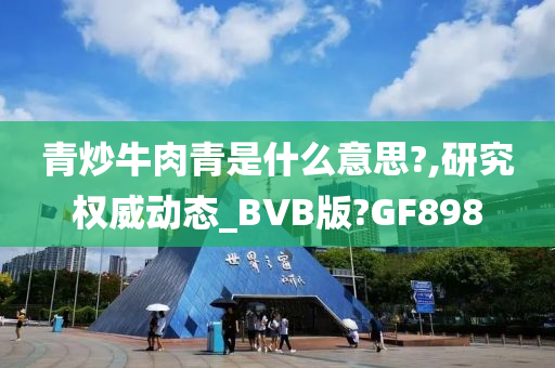 青炒牛肉青是什么意思?,研究权威动态_BVB版?GF898