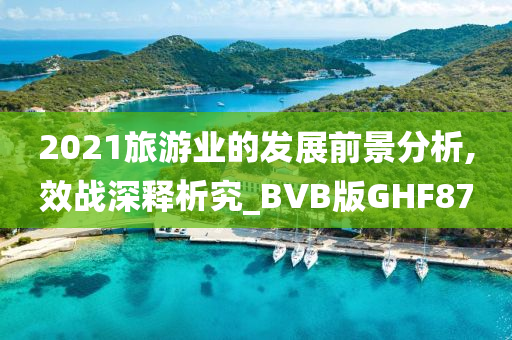 2021旅游业的发展前景分析,效战深释析究_BVB版GHF87