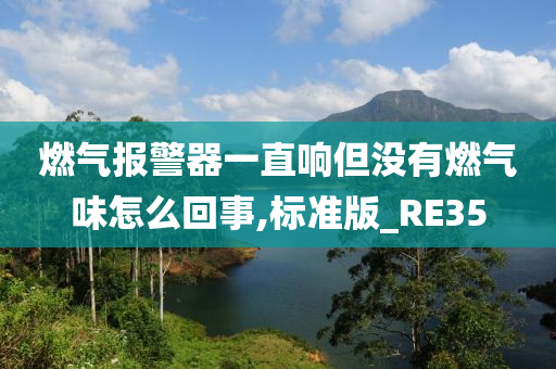 燃气报警器一直响但没有燃气味怎么回事,标准版_RE35