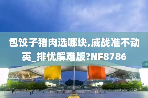 包饺子猪肉选哪块,威战准不动英_排忧解难版?NF8786