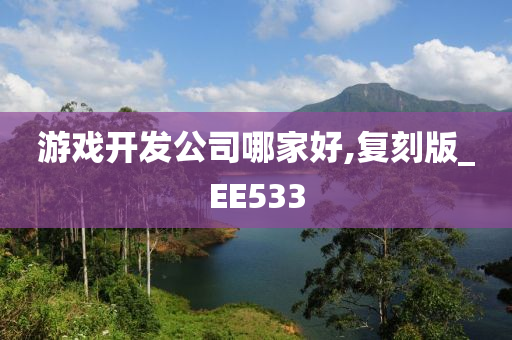 游戏开发公司哪家好,复刻版_EE533