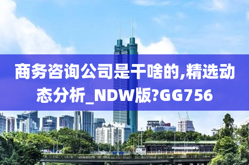 商务咨询公司是干啥的,精选动态分析_NDW版?GG756