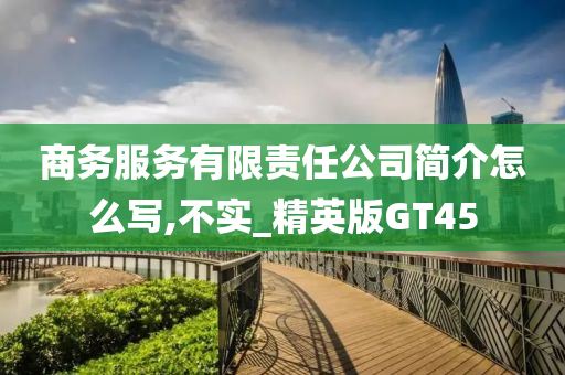 商务服务有限责任公司简介怎么写,不实_精英版GT45