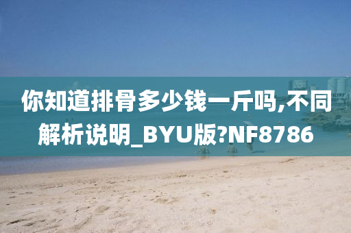 你知道排骨多少钱一斤吗,不同解析说明_BYU版?NF8786