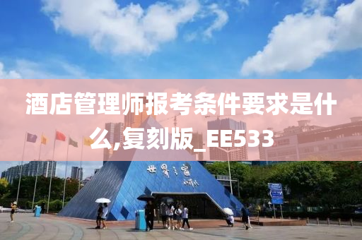 酒店管理师报考条件要求是什么,复刻版_EE533