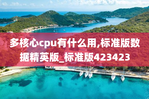 多核心cpu有什么用,标准版数据精英版_标准版423423