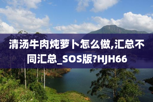 清汤牛肉炖萝卜怎么做,汇总不同汇总_SOS版?HJH66