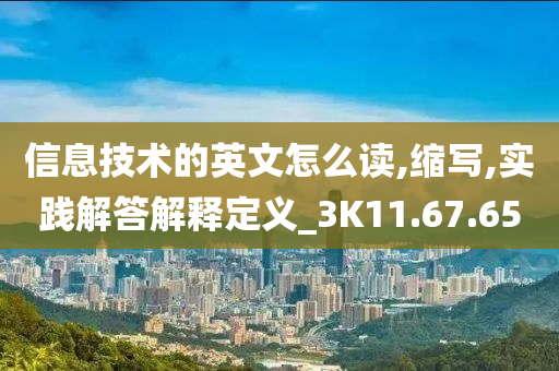 信息技术的英文怎么读,缩写,实践解答解释定义_3K11.67.65