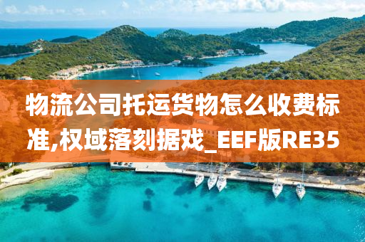 物流公司托运货物怎么收费标准,权域落刻据戏_EEF版RE35