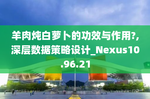 羊肉炖白萝卜的功效与作用?,深层数据策略设计_Nexus10.96.21