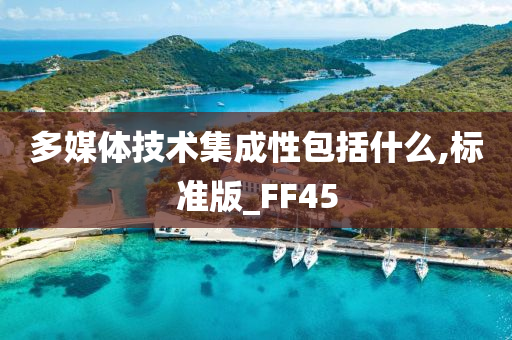 多媒体技术集成性包括什么,标准版_FF45