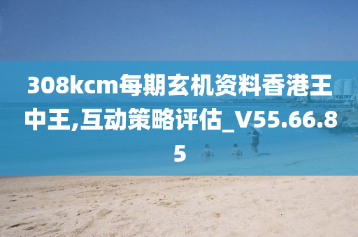 308kcm每期玄机资料香港王中王,互动策略评估_V55.66.85