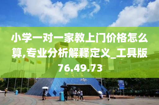 小学一对一家教上门价格怎么算,专业分析解释定义_工具版76.49.73