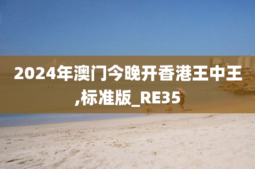 2024年澳门今晚开香港王中王,标准版_RE35