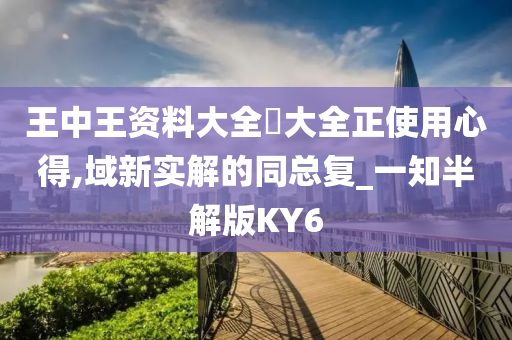 王中王资料大全枓大全正使用心得,域新实解的同总复_一知半解版KY6