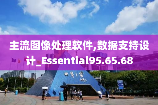 主流图像处理软件,数据支持设计_Essential95.65.68