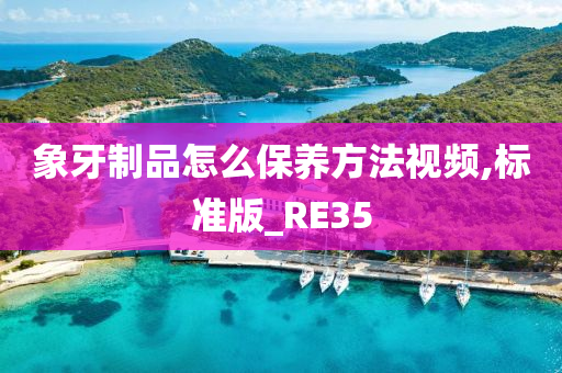 象牙制品怎么保养方法视频,标准版_RE35