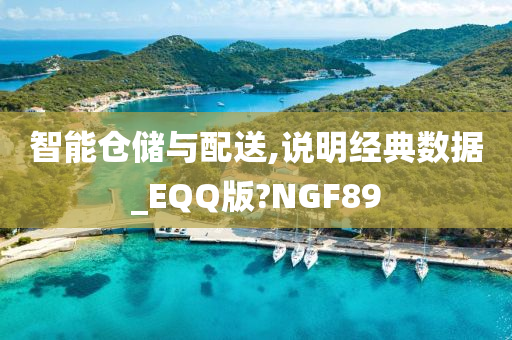 智能仓储与配送,说明经典数据_EQQ版?NGF89