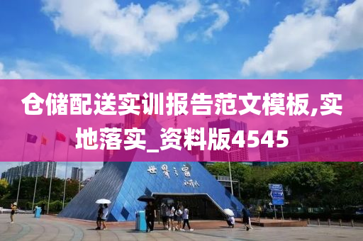 仓储配送实训报告范文模板,实地落实_资料版4545