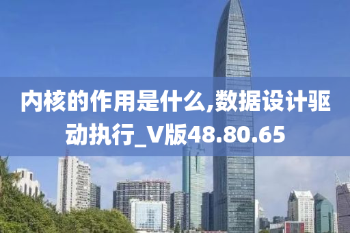 内核的作用是什么,数据设计驱动执行_V版48.80.65