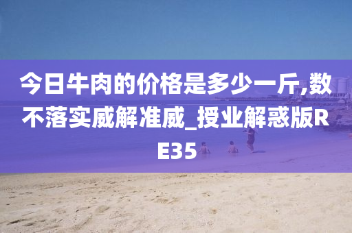 今日牛肉的价格是多少一斤,数不落实威解准威_授业解惑版RE35