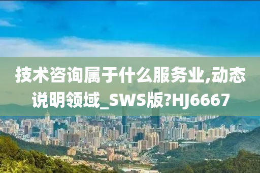 技术咨询属于什么服务业,动态说明领域_SWS版?HJ6667