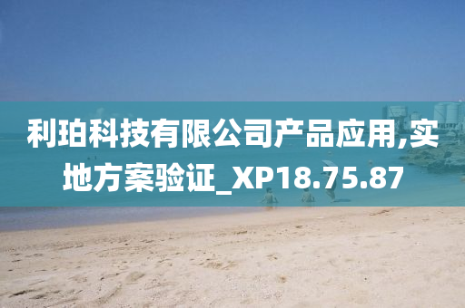 利珀科技有限公司产品应用,实地方案验证_XP18.75.87