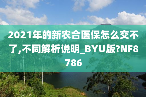 2021年的新农合医保怎么交不了,不同解析说明_BYU版?NF8786