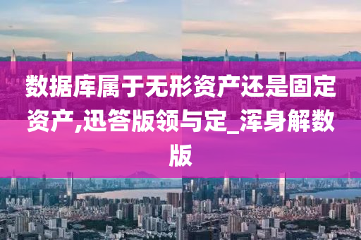 数据库属于无形资产还是固定资产,迅答版领与定_浑身解数版