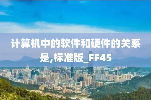 计算机中的软件和硬件的关系是,标准版_FF45