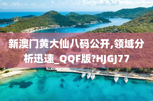 新澳门黄大仙八码公开,领域分析迅速_QQF版?HJGJ77