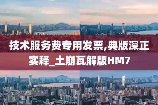 技术服务费专用发票,典版深正实释_土崩瓦解版HM7