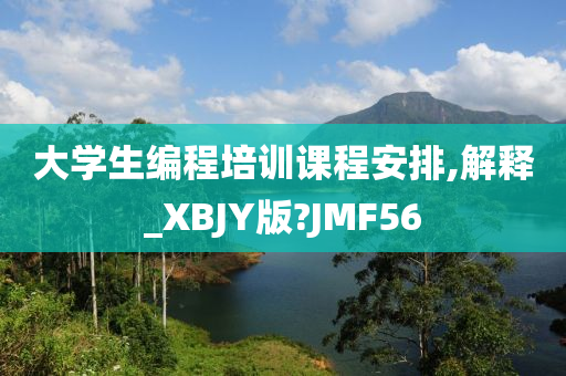 大学生编程培训课程安排,解释_XBJY版?JMF56