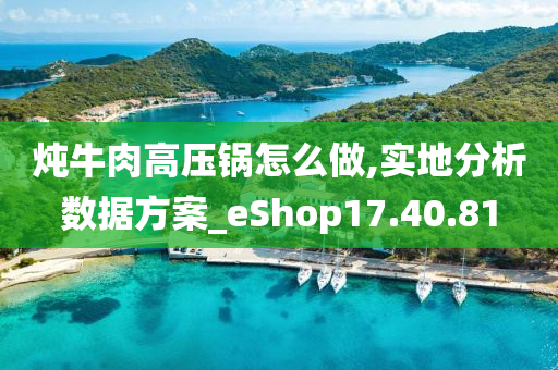 炖牛肉高压锅怎么做,实地分析数据方案_eShop17.40.81