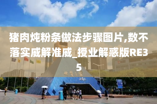 猪肉炖粉条做法步骤图片,数不落实威解准威_授业解惑版RE35