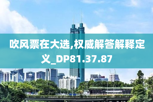 吹风票在大选,权威解答解释定义_DP81.37.87