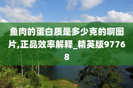 鱼肉的蛋白质是多少克的啊图片,正品效率解释_精英版97768