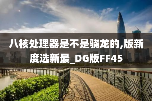 八核处理器是不是骁龙的,版新度选新最_DG版FF45