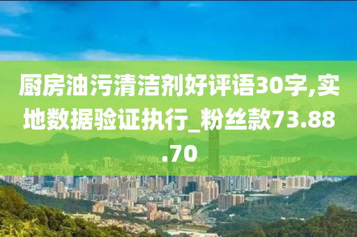 厨房油污清洁剂好评语30字,实地数据验证执行_粉丝款73.88.70